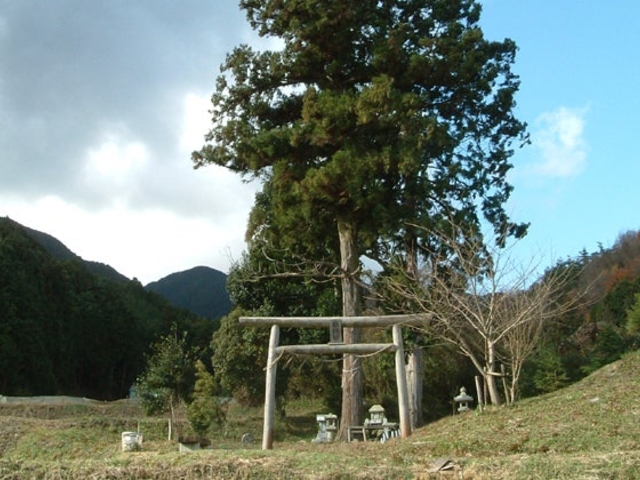 棚機神社の写真1