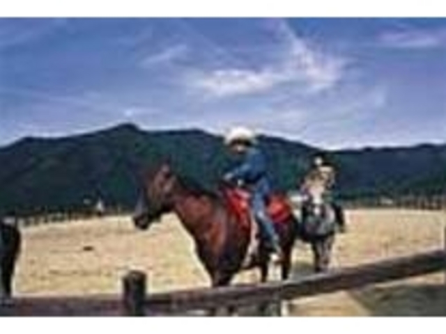 屋外では乗馬体験も。引き綱なので安心_前森高原ビアハウス・サッポロビール