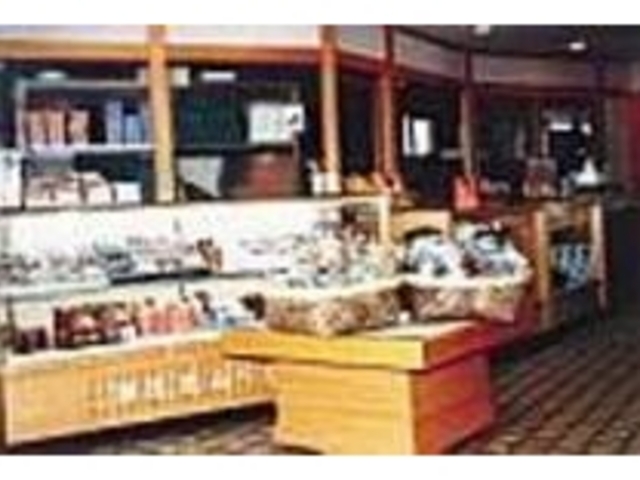 何種類もせんべいがあるので迷ってしまう_田代せんべい店
