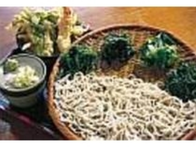 自然の味そのままの山菜は季節ごとに変わる_手打ちそば処 もえぎの家
