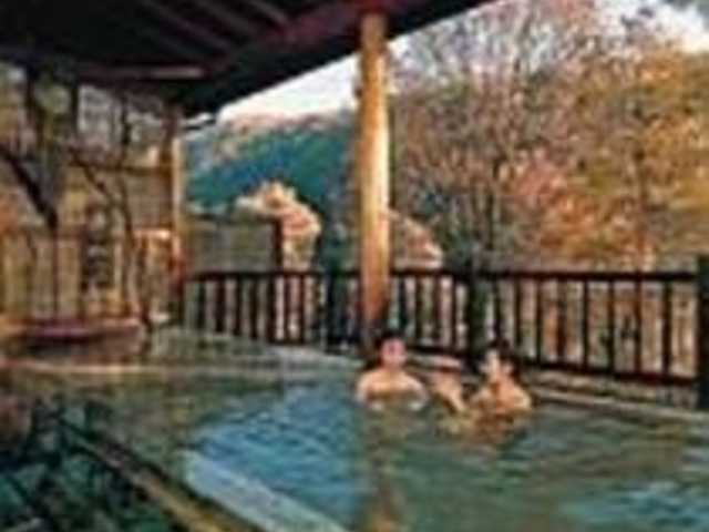 横谷峡温泉源泉のお肌ツルツル天然温泉_蓼科パークホテル