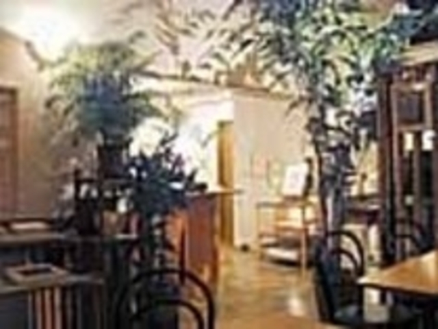 緑と光が差込む店内では随時器展が催される_ギャラリー 忘我亭