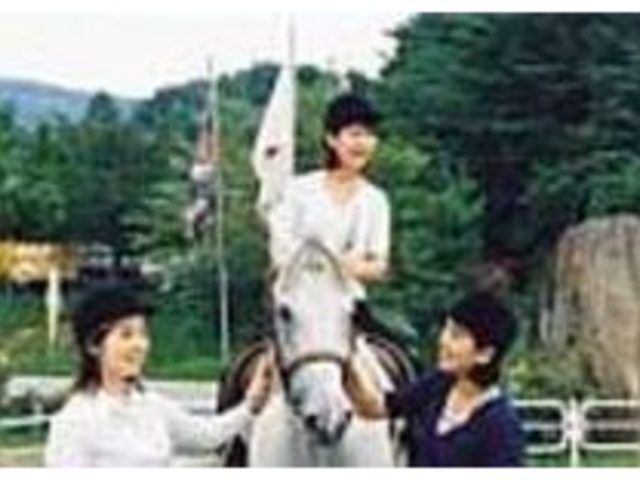 乗馬用アメリカンクォーターホース等_スエトシ牧場乗馬クラブ