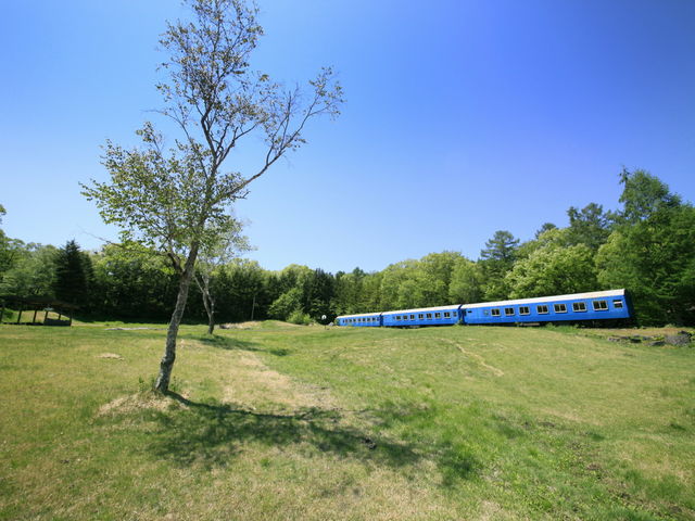 ホテル目の前の芝生の広場にはシンボルのブルートレイン_紀州鉄道軽井沢ホテル