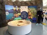 竹野スノーケルセンター・ビジターセンターの写真3