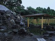 梅の郷 月ケ瀬温泉の写真4