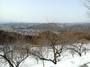 岩山の写真1