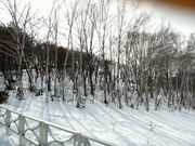 岩山の写真2