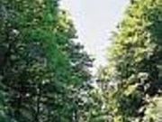 白神ラインの写真1