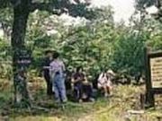 ねずこの森 ビュー自然探勝路の写真1