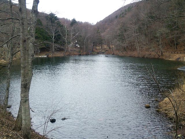 ヴィレッヂ白州