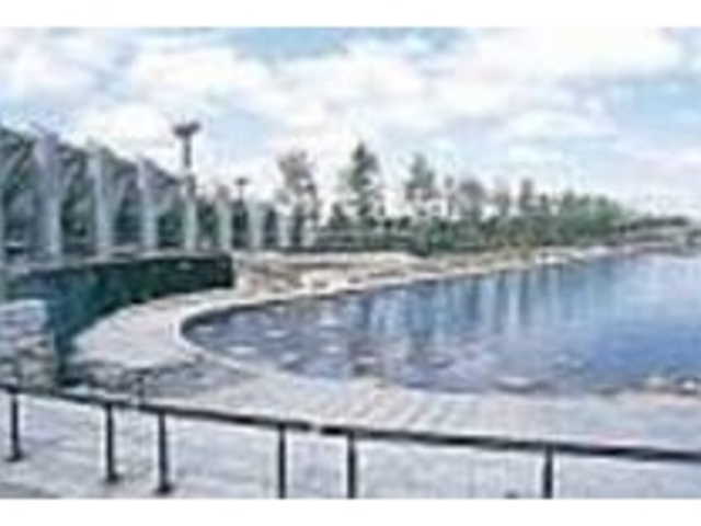 運河のほとりでランチをする姿も見られる_新潟県スポーツ公園