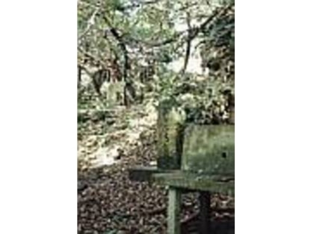 設備はどれも簡易なコンクリート製だ_ぶりぶち公園