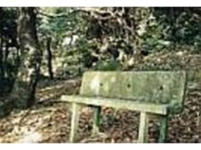 公園内では沢山の昆虫を発見する事ができる_ぶりぶち公園