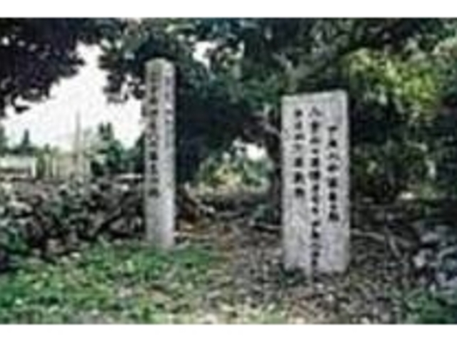 碑石を守るかの様に広葉樹が枝を広げている_オヤケアカハチ生誕の地