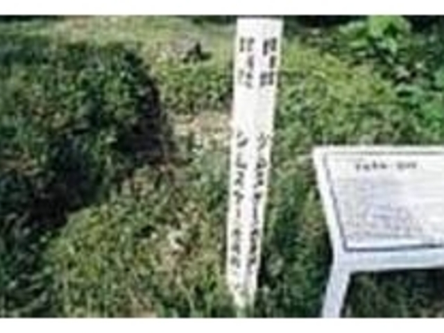 小さな井戸に人と動物の美しい言い伝えが_シムスケー