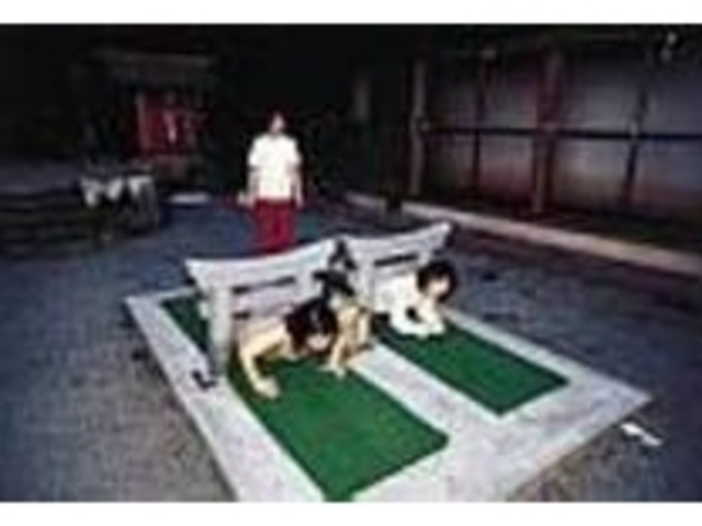 ちゃんとくぐり抜けることができるかな?_鉾納社