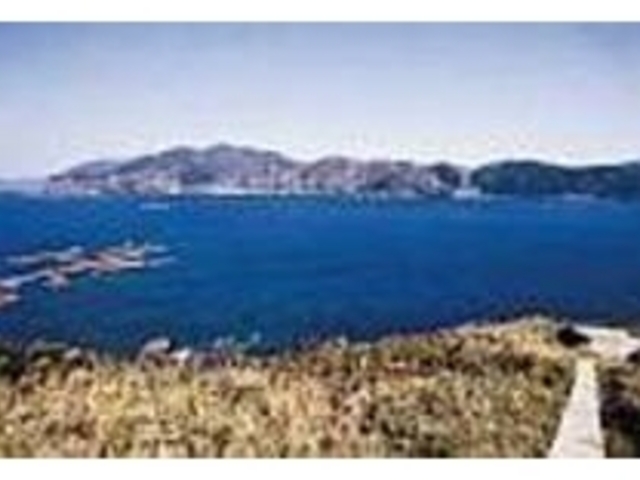 7〜8月頃にはカノコユリが一面に咲き誇る_鳥の巣山展望台
