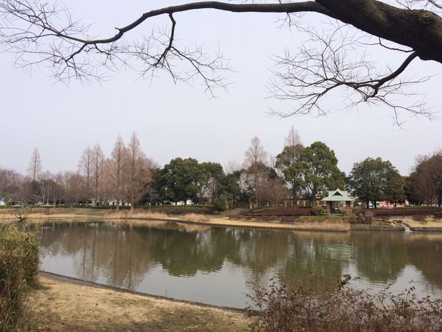 越谷総合公園