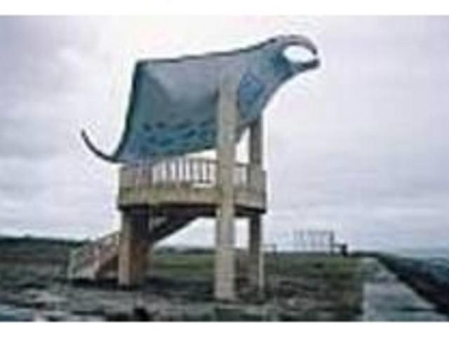 港から遠いけど展望台からの眺めは最高だ_海人公園