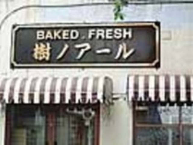 大きなガジュマルの木に見守られた工場兼店_樹ノアール