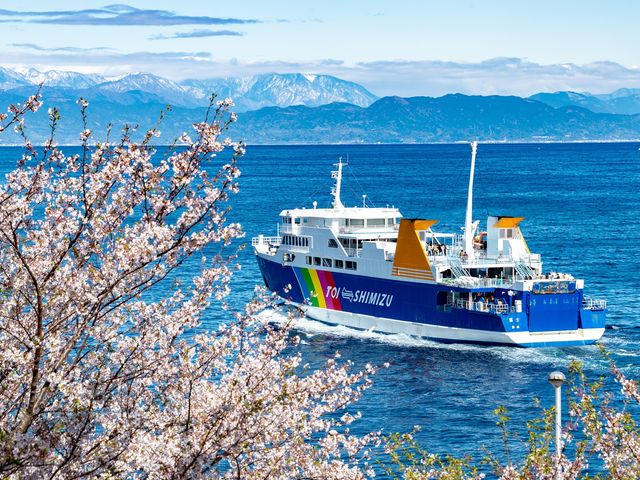 駿河湾フェリー