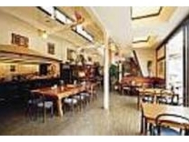 天窓から明るい光が射し込む広々とした店内_Spice dog