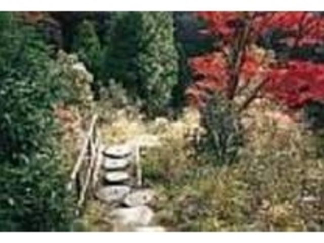 景色を眺めながら、のんびりと歩こう_不動滝