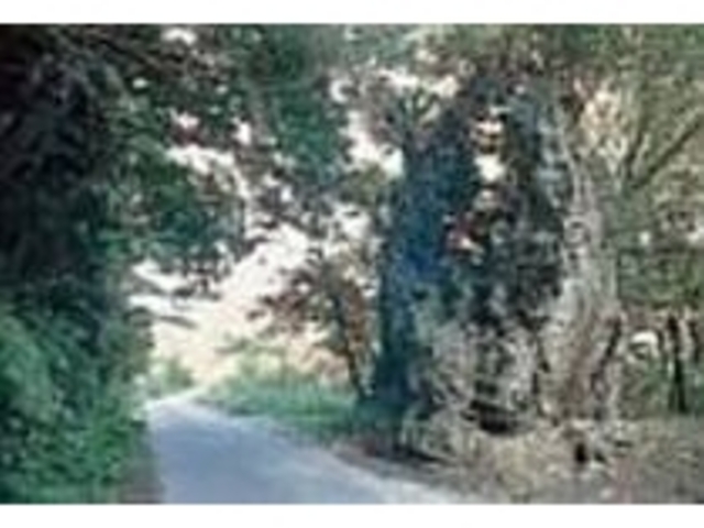 昔はフェーレー(山賊)が出没した場所_歴史の道 国頭方西海道