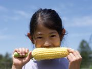 八ヶ岳中央農業実践大学校の写真3
