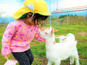 くまちゃん農園の写真4