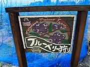 マルホウ 松尾農園の写真3