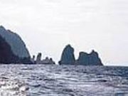 観光船 かのこの写真2