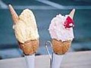 ぷちふぁーむの写真2