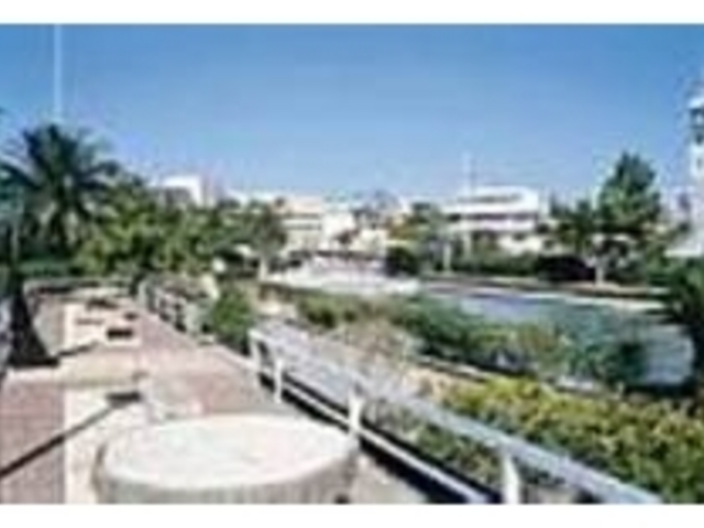 緑いっぱいの園内を歩いていると心が和む_扇ヶ浜公園