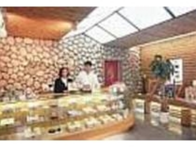 斬新な設計の店内に梅製品がズラリと並ぶ_プラムガーデン オカハタ