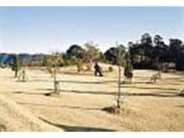 敷地内には広々とした公園も併設されている_サンナンタンランド
