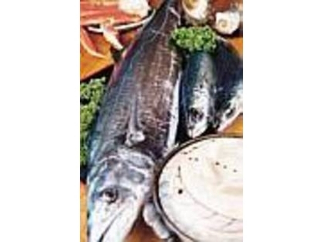 その日の夕方に揚がった素材もすぐに調理!_游心満喫料理 山小屋
