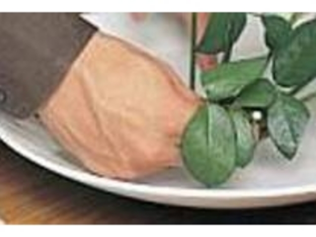 一日体験では盛花の基本形にトライする_華道未生流笹岡 家元