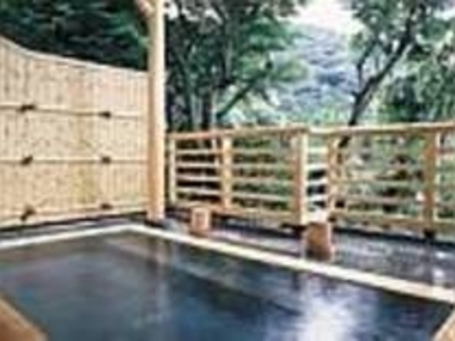 昼も夜もかけ流しで豊富な湯量が贅沢_箱根 金湯苑