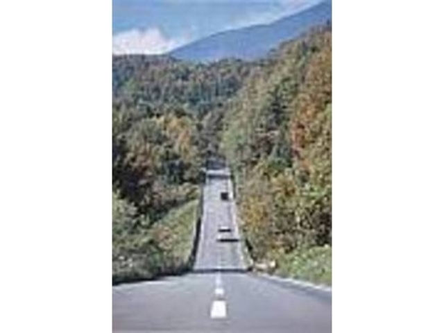 針葉樹林の中に伸びる気持ちいい直線道路_戸隠バードライン