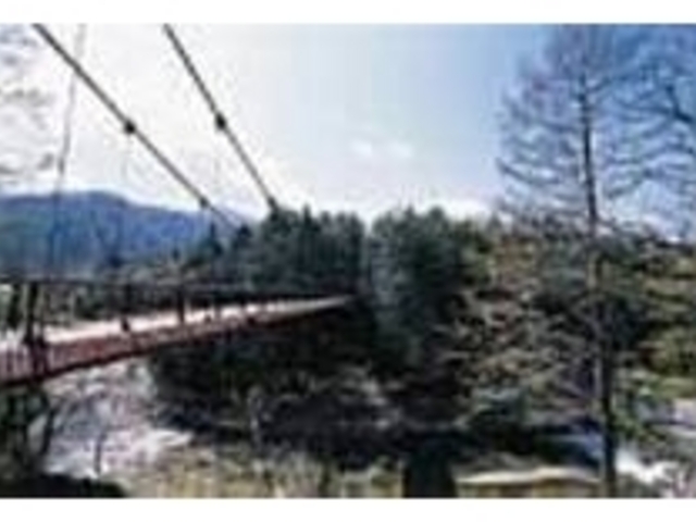 眺めも良い、湯西川に架かる天楽堂吊り橋_湯西川森林公園