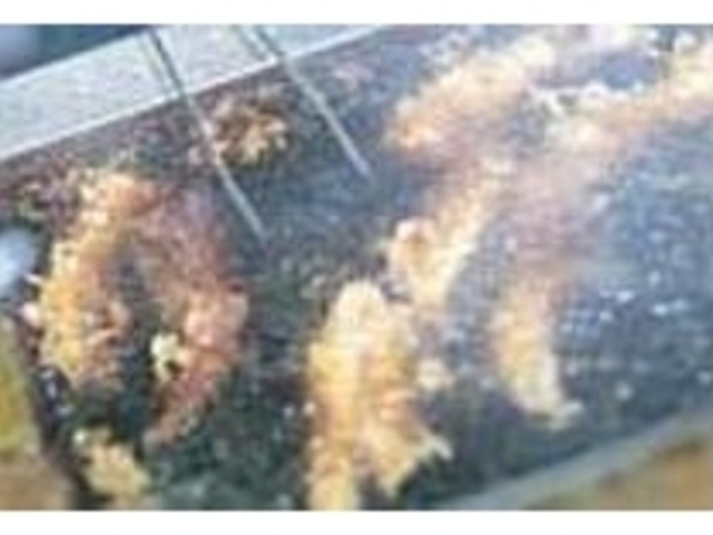 植物油でカラリと揚げるのでお菓子感覚で_黒門名物穴子天ぷら 日進堂