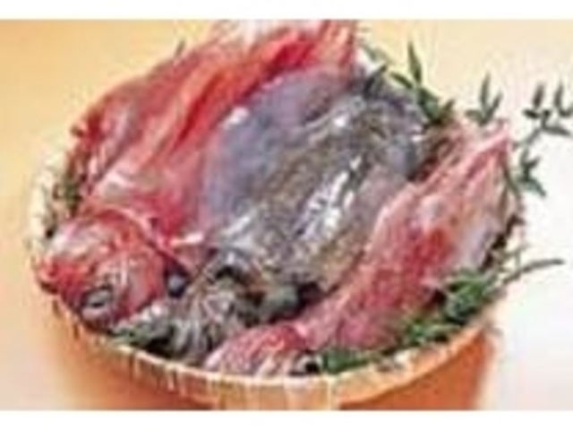 右からアオリイカ、シロイカ、ベニイカ_にしわき鮮魚店
