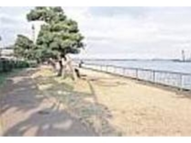 水平線のはるか先には葛西臨海公園も見える_暁ふ頭公園