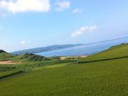 カルトピアセンター「素浜」の写真2