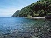 井田ビ−チの写真1