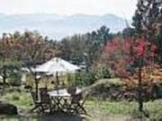 ジェラテリア 野の花牧場の写真2