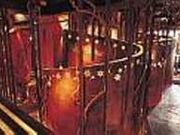 銀座なかなか新宿店の写真2