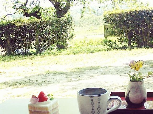 陶芸体験の合間に
お庭でカフェタイム_陶工房びあんこ